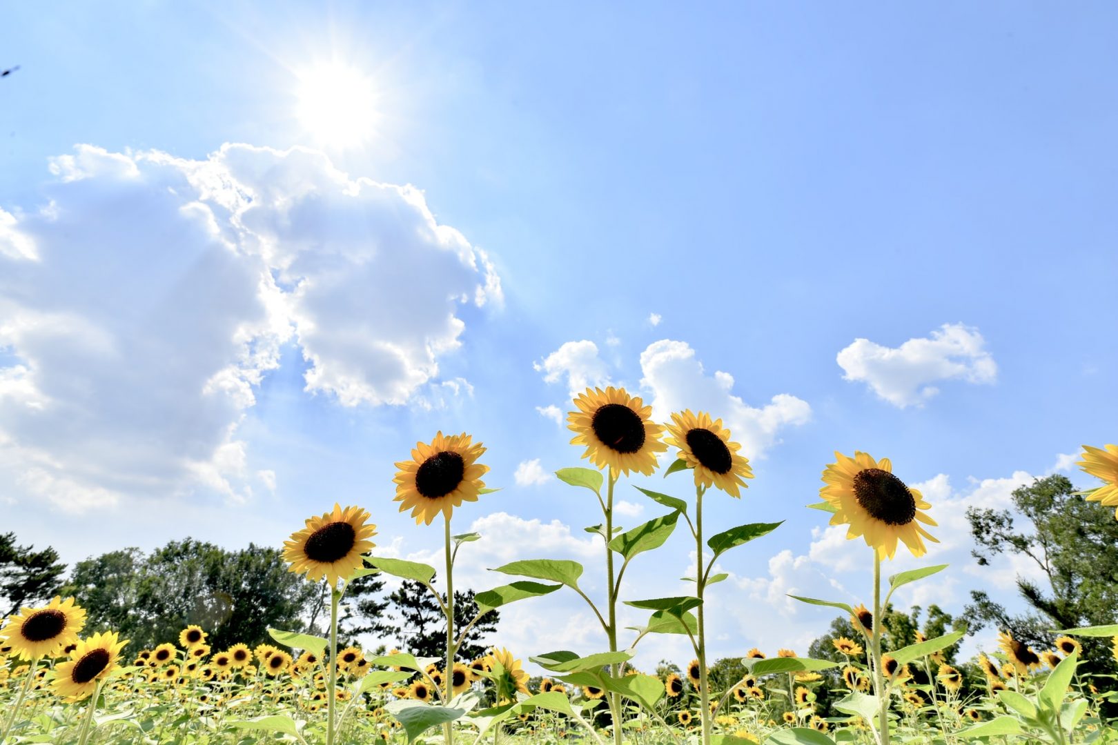 5 Ways to Self-Heal Your Body and Mind in Just 10 Minutes
